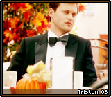 Tristan 08