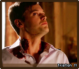 Tristan 11