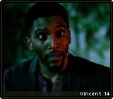Vincent 14