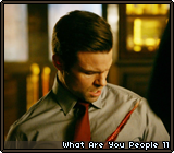 What Are You People 11