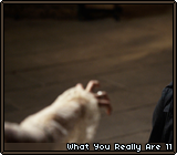 What You Really Are 11