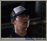 Working Hard 08