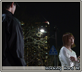 Working Hard 16