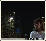 Working Hard 17