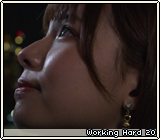 Working Hard 20
