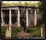 You Seem Troubled 03